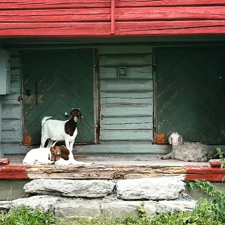 Working Farm Along Pilgrimage Route In Hadeland Сasa de vacaciones